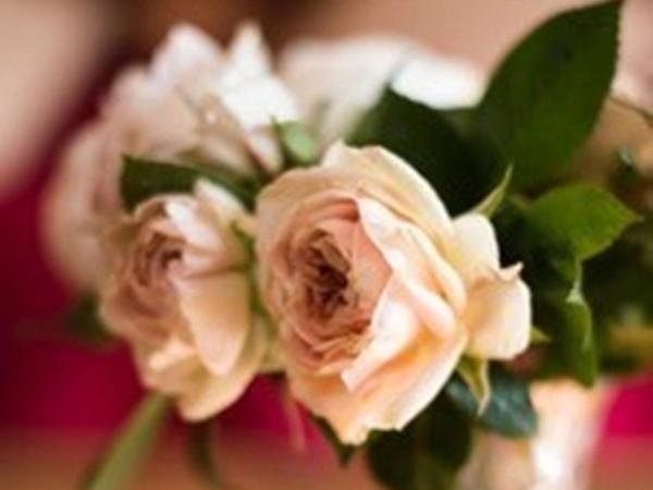 Knole B&B Sevenoaks Ngoại thất bức ảnh