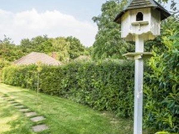 Knole B&B Sevenoaks Ngoại thất bức ảnh
